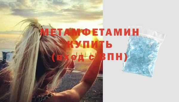 прущие грибы Вязники