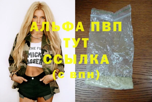 прущие грибы Вязники