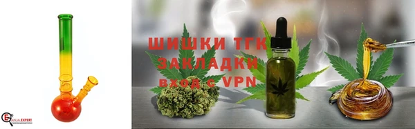 прущие грибы Вязники