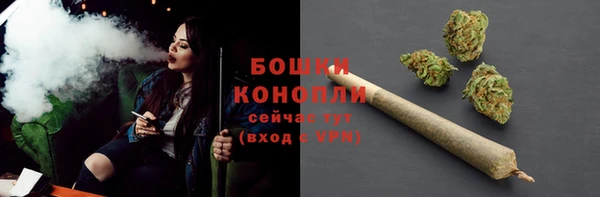 прущие грибы Вязники