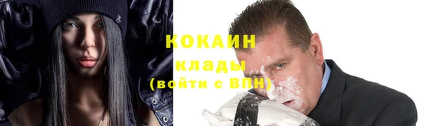 прущие грибы Вязники