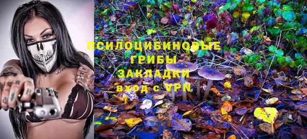 прущие грибы Вязники