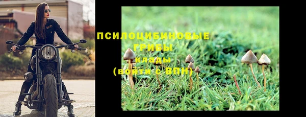 не бодяженный Бердск
