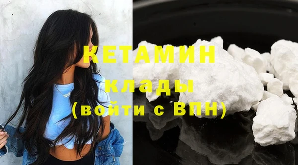 прущие грибы Вязники
