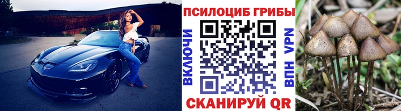 Галлюциногенные грибы прущие грибы  Белая Калитва 