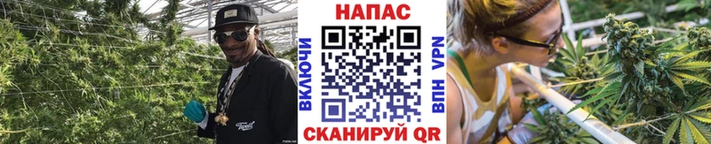 Шишки марихуана THC 21%  ссылка на мегу tor  Белая Калитва 
